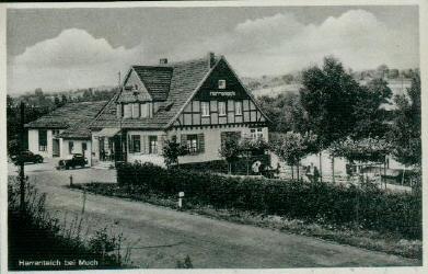 Herrenteich1.jpg